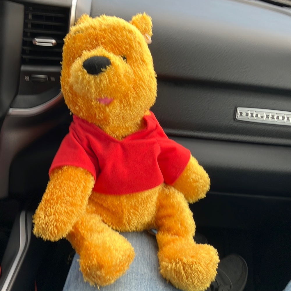 Vintage Pooh Plush Toy